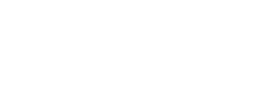 Lyonnel Consulting SA Logo